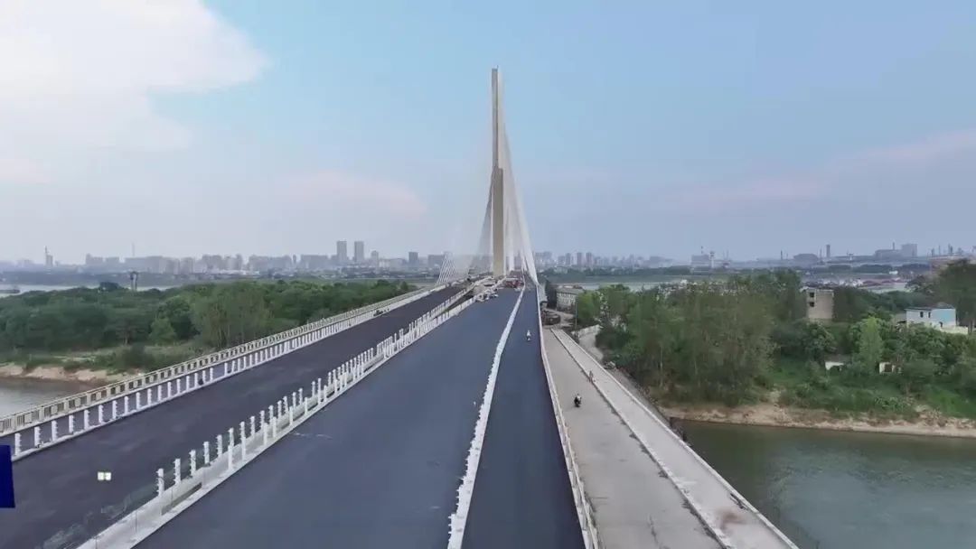 杨梅洲大桥最新消息